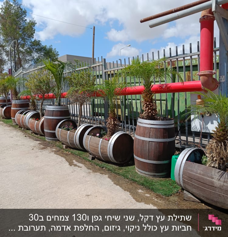 עציצים מעץ עם צמחים לאורך גדר מתכת